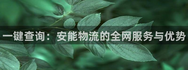 ,优游国际是正规平台吗：一键查询：安