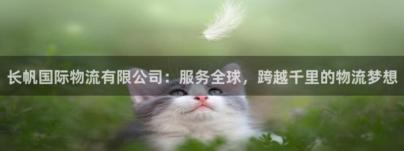 优游国际官网入口pc28：长帆国际物