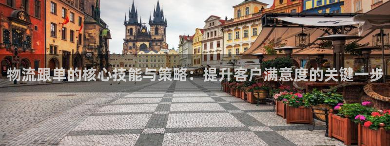 ,优游国际头像：物流跟单的核心技能与