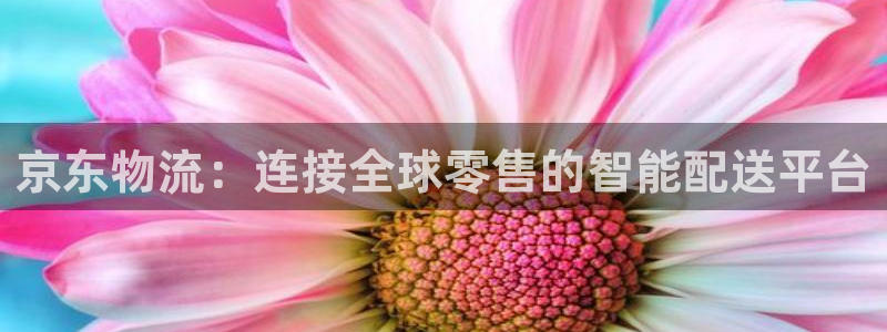 ,优游国际注册与教程：京东物流：连接