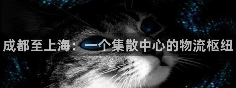,优游国际官网链接：成都至上海：一个