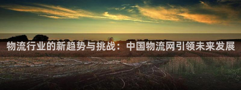 ,优游国际绿骨头：物流行业的新趋势与