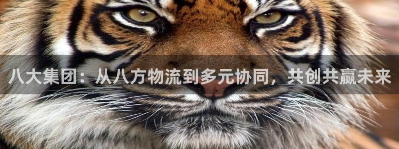 ,优游国际娱乐官网网页:八大集团:从