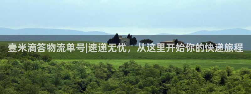 ,优游国际模拟：壹米滴答物流单号|速