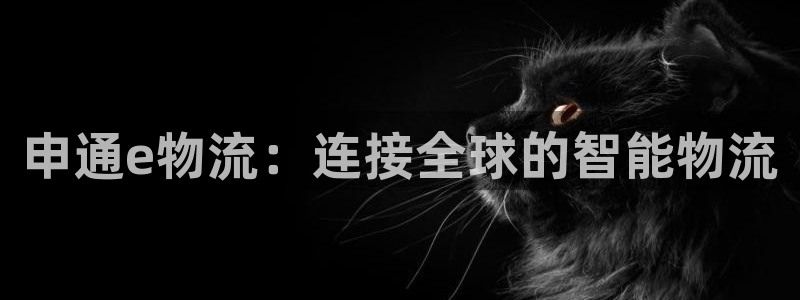 ,优游国际初始密码在哪里修改：申通e
