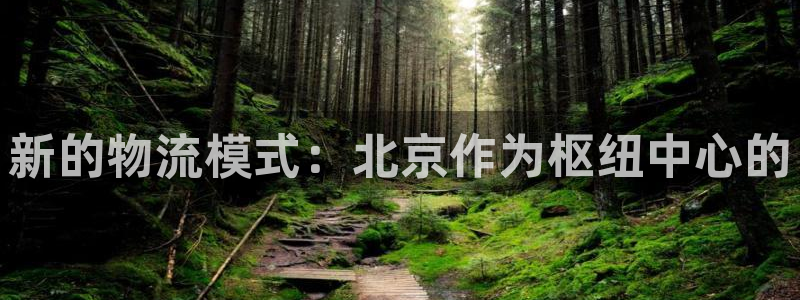 ,优游国际游戏官网版:新的物流模式: