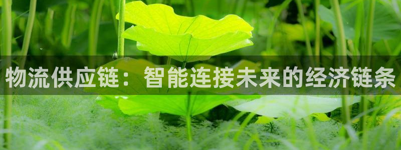 ,优游国际pg麻将胡了2老是空转：物