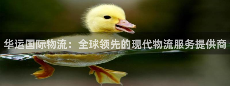 ,优游国际链官网：华运国际物流：全球领先的现代物流服务提供商