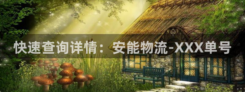,优游国际取保：快速查询详情：安能物