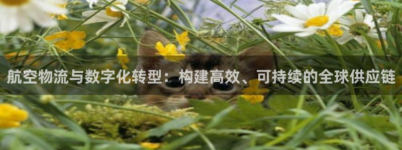 ,优游国际注册网页：航空物流与数字化