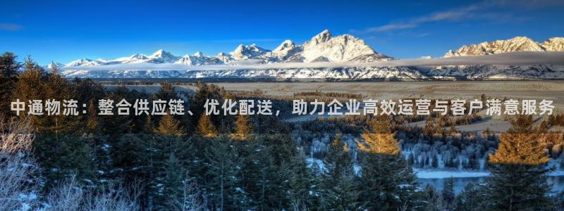 ,优游国际黑吗：中通物流：整合供应链
