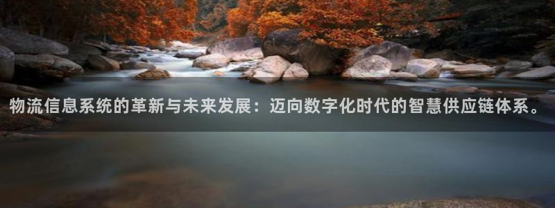 ,优游国际怎么注册账号：物流信息系统