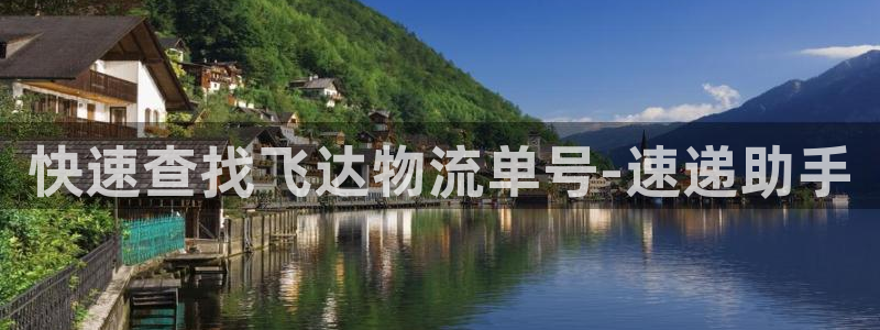 ,优游国际p扣除：快速查找飞达物流单