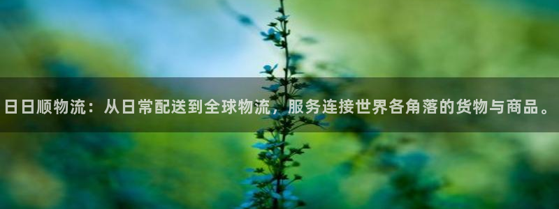 ,优游国际提现不到账：日日顺物流：从