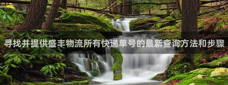 ,优游国际网赌有什么风险：寻找并提供盛丰物流所有快递单号的最