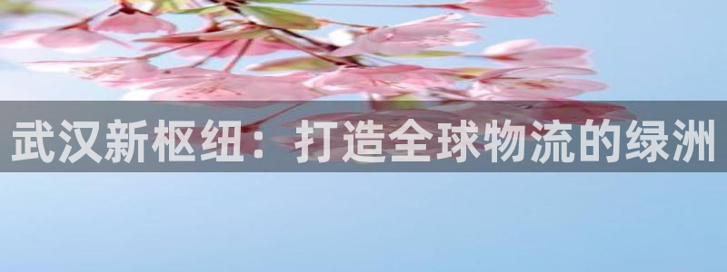 ,优游国际注册登录：武汉新枢纽：打造全球物流的绿洲