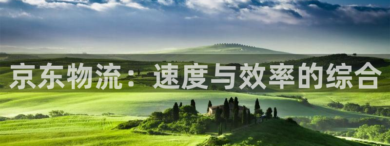 ,优游国际代理落网：京东物流：速度与