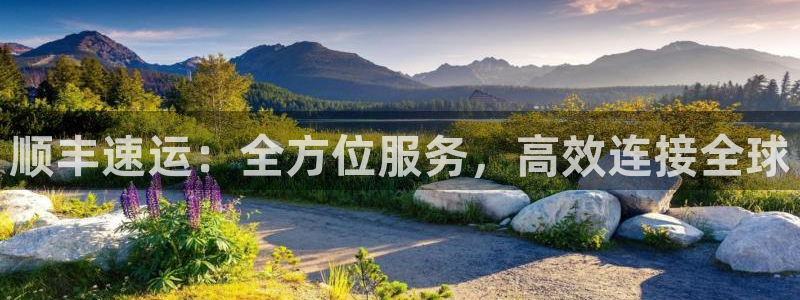 ,优游国际官网预测:顺丰速运:全方位