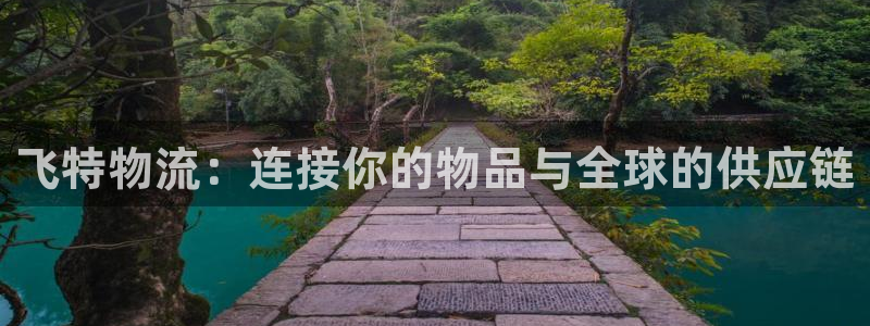 ,优游国际南宫娱乐官网：飞特物流：连接你的物品与全球的供应链