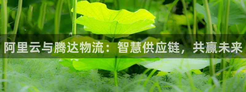 ,优游国际初始密码在哪里修改的：阿里