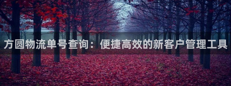 ,优游国际下载不了:方圆物流单号查询