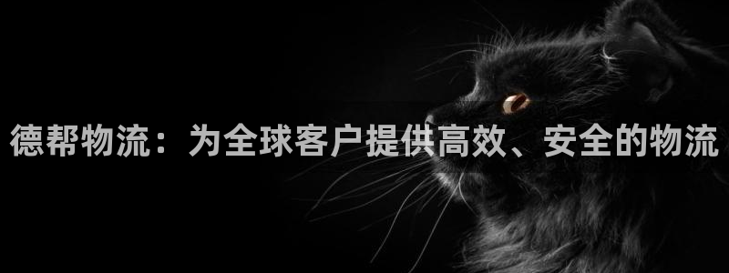,优游国际官方版网站:德帮物流:为全