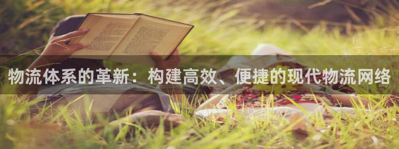 ,优游国际黑款：物流体系的革新：构建高效、便捷的现代物流网络