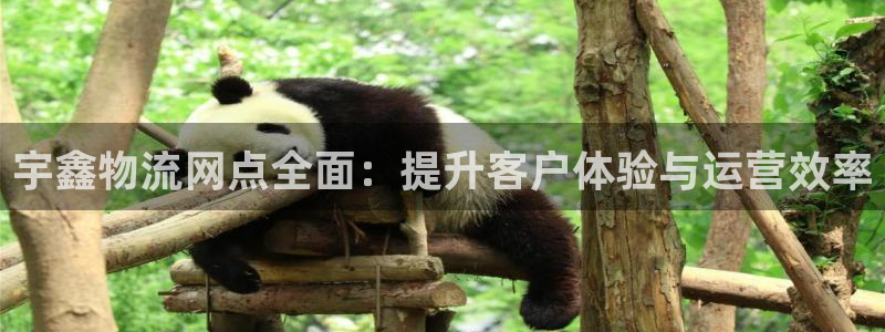 ,优游国际app能退款吗：宇鑫物流网