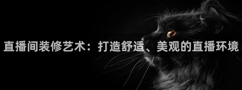 黑白体育nba在线直播