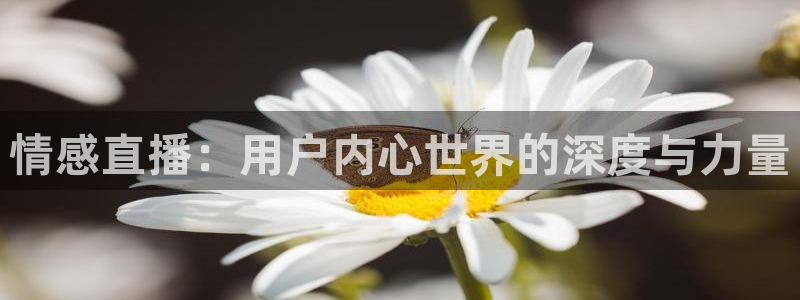 黑白直播nba在线播放：情感直播：用户内心世界的深度与力量
