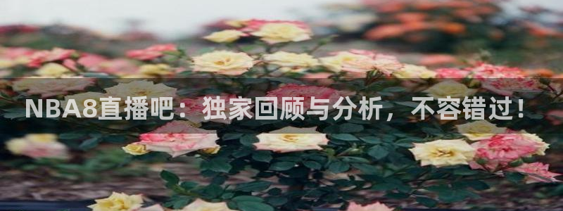 jrs黑白直播体育下载：NBA8直播吧：独家回顾与分析，不容错过！