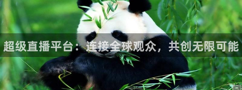 黑白足球视频直播：超级直播平台：连接全球观众，共创无限可能
