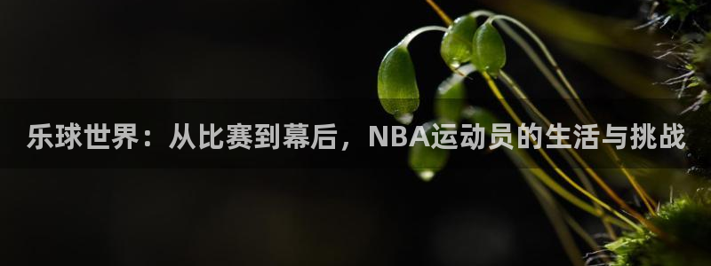 黑白体育nba篮球直播：乐球世界：从比赛到幕后，NBA运动员的生活与挑战