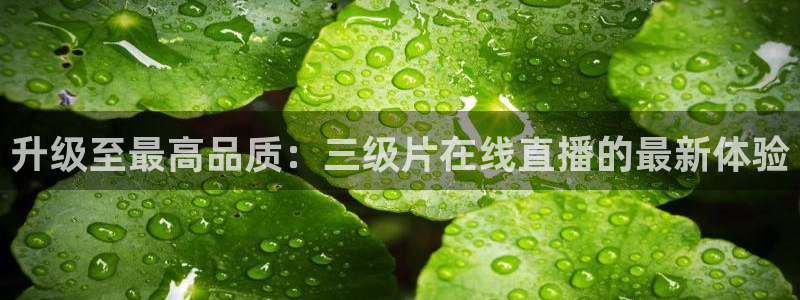 黑白直播nba免费直播：升级至最高品质：三级片在线直播的最新体验