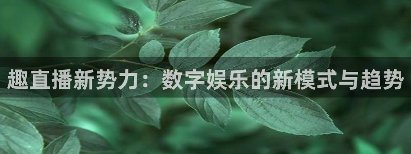 黑白体育nba在线直播观看：趣直播新势力：数字娱乐的新模式与趋势
