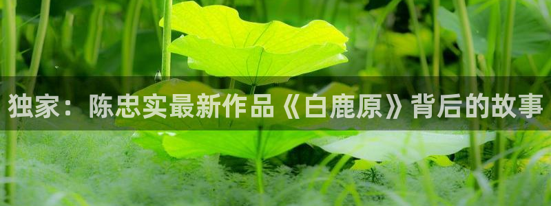 足球黑白直播免费观看直播：独家：陈忠实最新作品《白鹿原》背后的故事