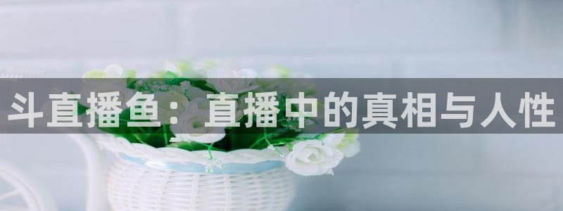 黑白直播nba免费直播：斗直播鱼：直播中的真相与人性