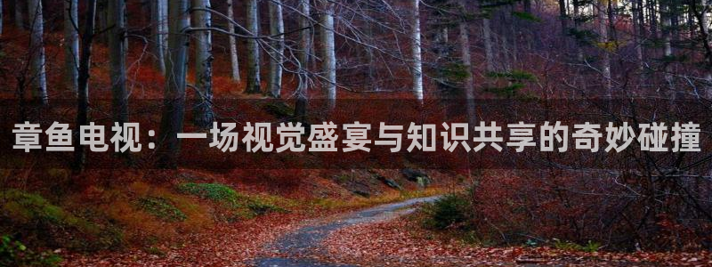 黑白体育nba篮球直播：章鱼电视：一场视觉盛宴与知识共享的奇妙碰撞