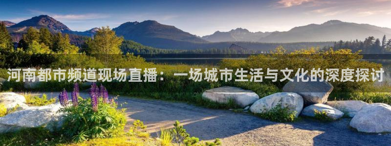 黑白看球直播：河南都市频道现场直播：一场城市生活与文化的深度探讨