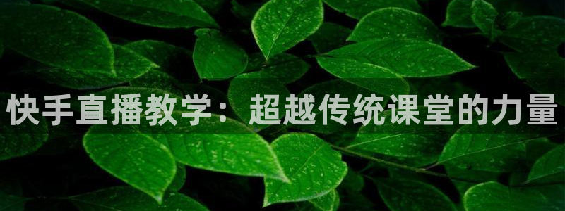 黑白足球直播下载：快手直播教学：超越传统课堂的力量