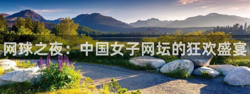 黑白足球视频直播：网球之夜：中国女子网坛的狂欢盛宴