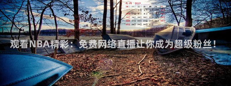 旧版黑白直播体育app下载：观看NBA精彩：免费网络直播让你成为超级粉丝！